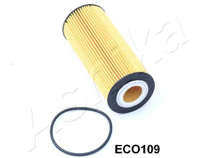 10ECO109 Ashika