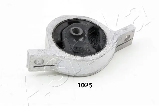 GOM1025 Ashika