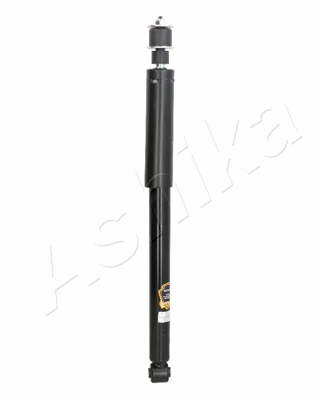 MA00293 Ashika