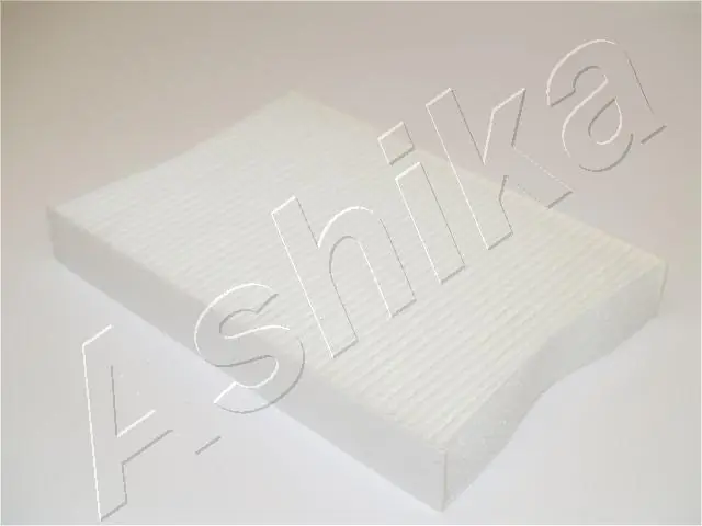 21NSNS12 Ashika