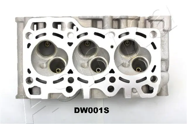 Głowica cylindrów General Motors 96642707