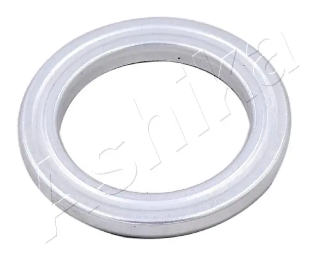 SMA0247 Ashika
