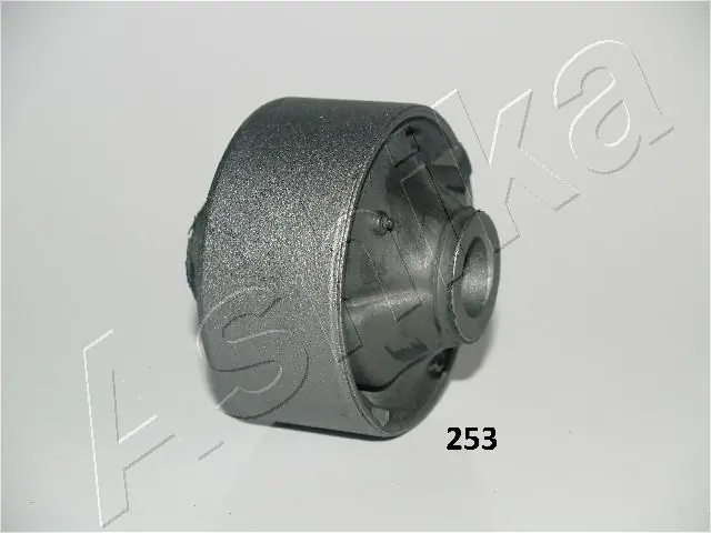 GOM253 Ashika