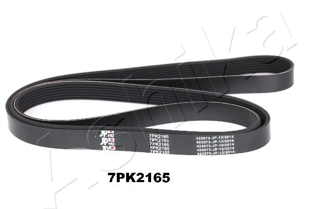 1127PK2165 Ashika