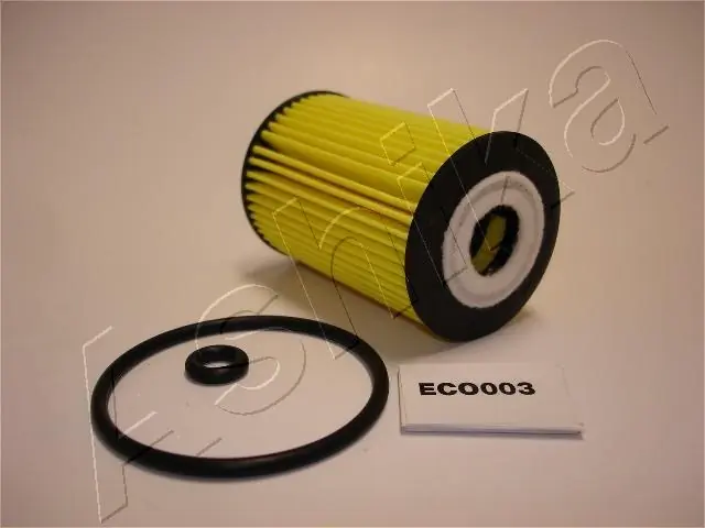 10ECO003 Ashika