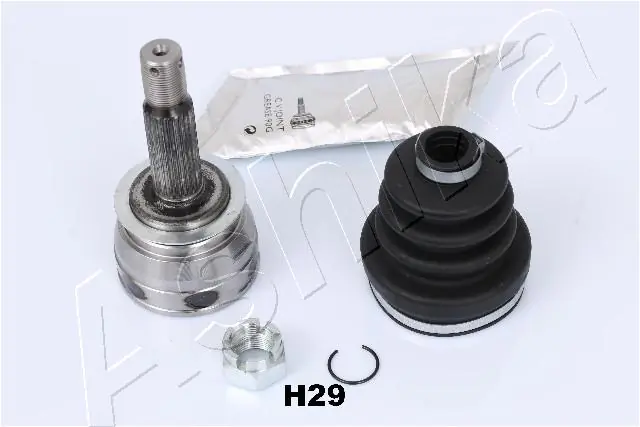 620HH29 Ashika