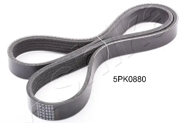 1125PK880 Ashika