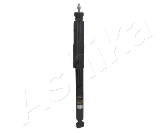 MA00290 Ashika