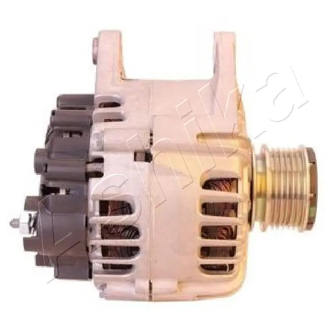 Do koszyka Alternator Renault DUSTER II HM