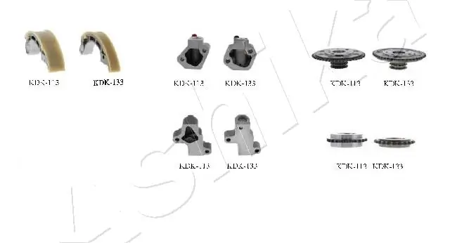 130215X00A Renault (RVI) Łańcuch rozrządu, zestaw