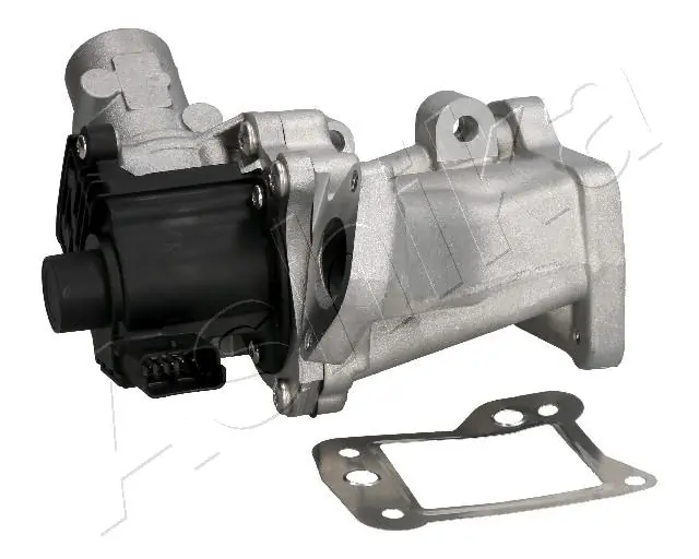 1500LL06 Ashika