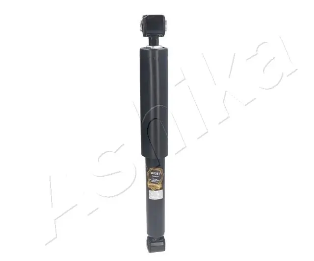 MA00351 Ashika