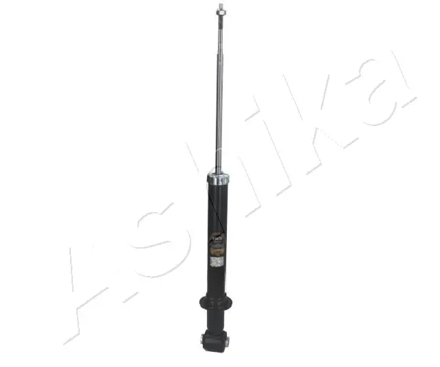 MA00478 Ashika