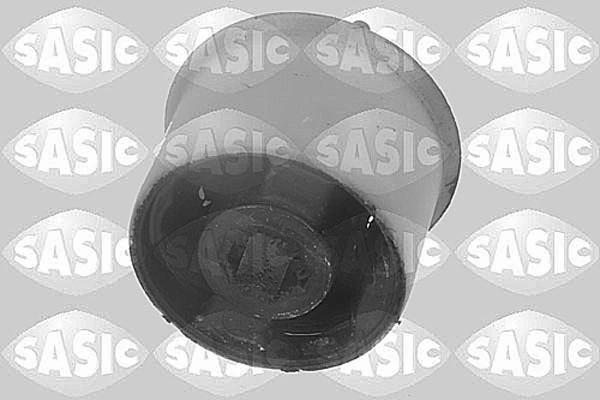 2256001 Sasic