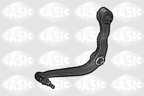 5213C83 Sasic