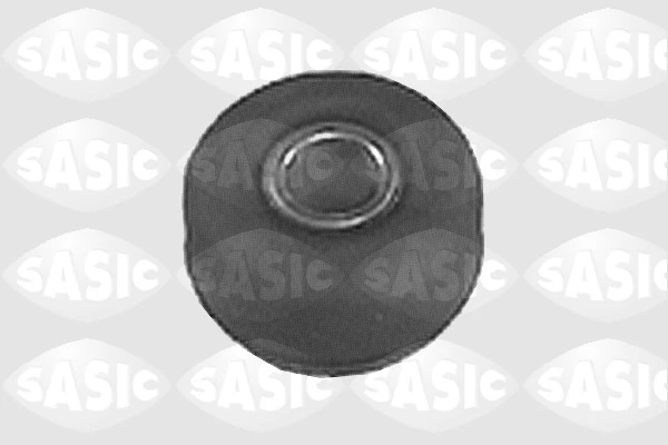 0935155 Sasic