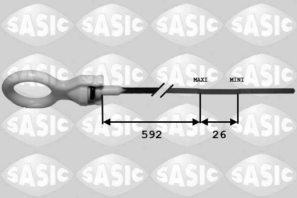 1946002 Sasic