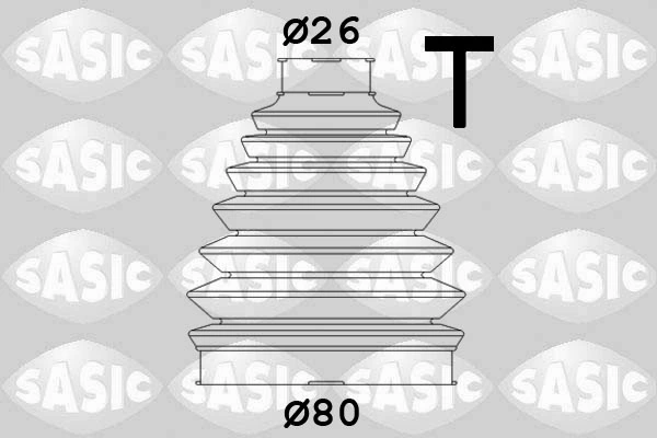 1904013 Sasic