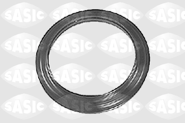 0355325 Sasic