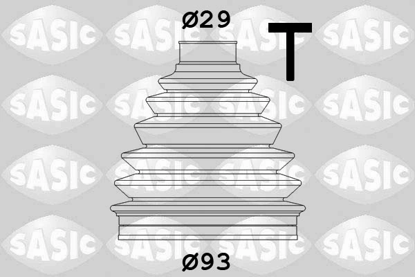 1900029 Sasic
