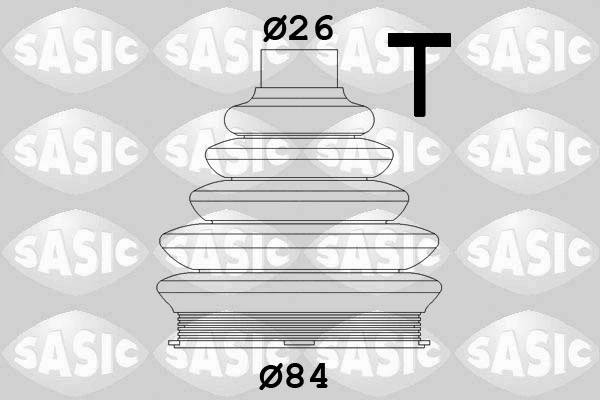 1900016 Sasic