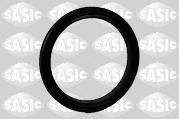 1950011 Sasic