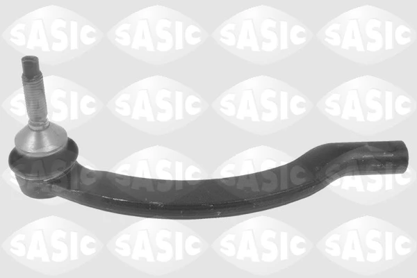 9006613 Sasic