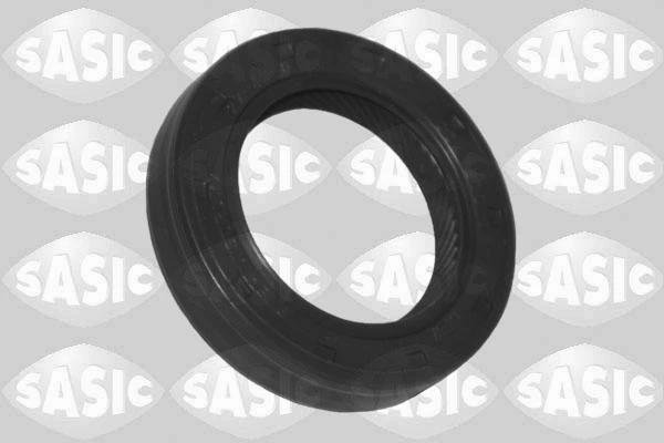 1956004 Sasic