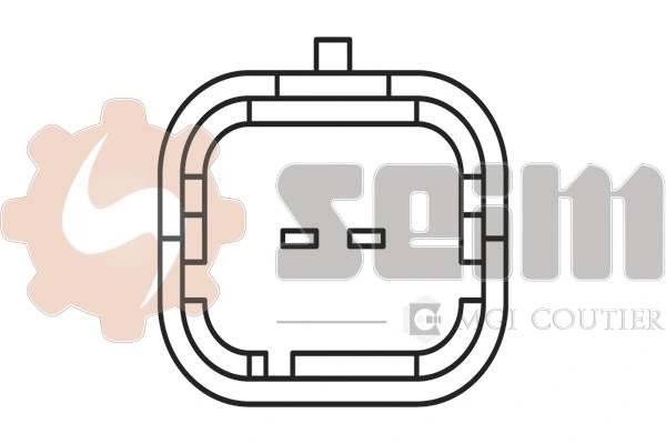 Czujnik stukowy (czujnik spalania stukowego) Citroen C4 Cactus