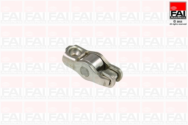 R173S FAI