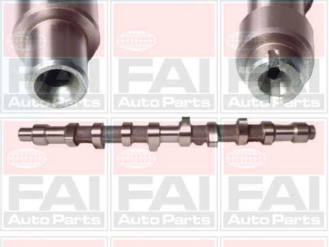 C155 FAI