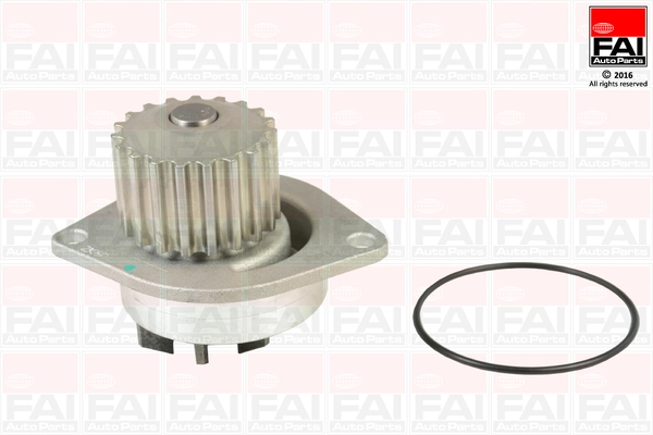 WP6038 FAI