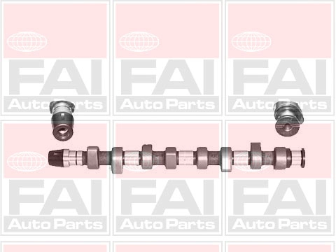 C305 FAI