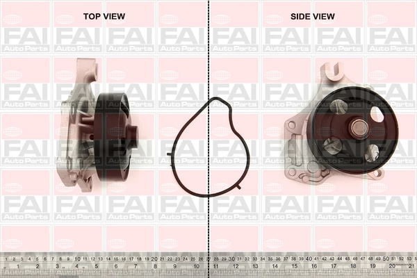 WP6473 FAI