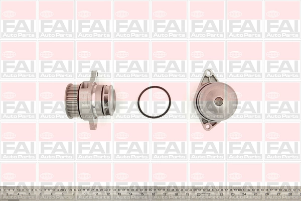 WP6101 FAI