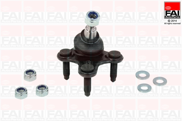 SS2466 FAI