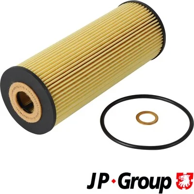 1118500100 JP Group