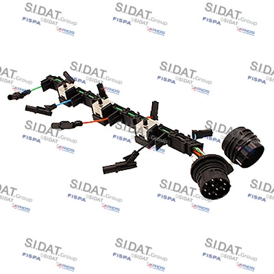 405494 Sidat