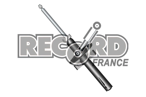 334511 Record