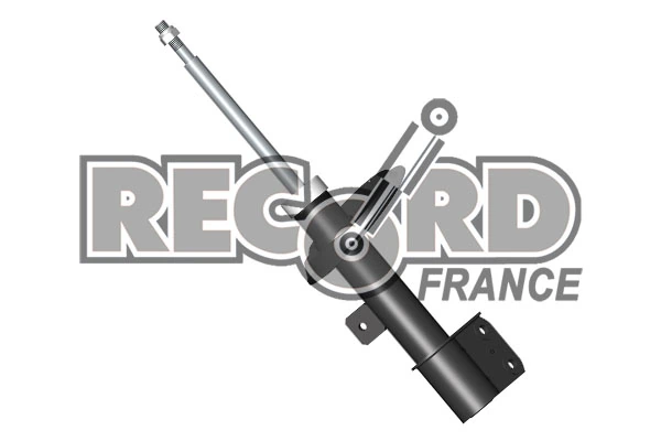 334484 Record