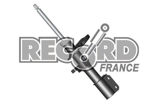 334765 Record