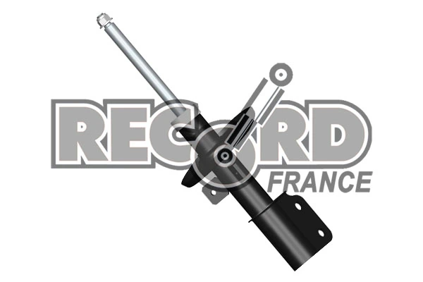334811 Record