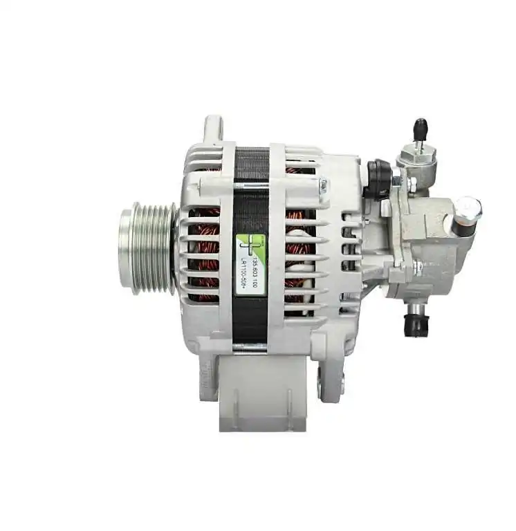 135603100080 PSH Alternator