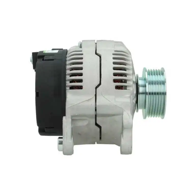 Do koszyka 305509090010 PSH Alternator