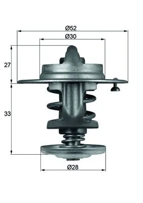 TX8083 Mahle Original