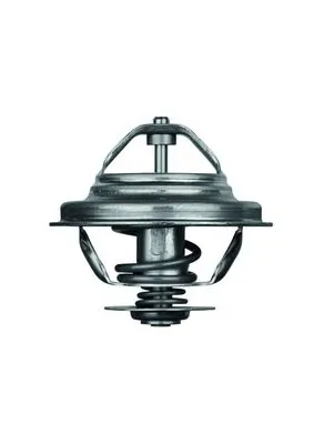 Do koszyka Termostat BMW 5  E28