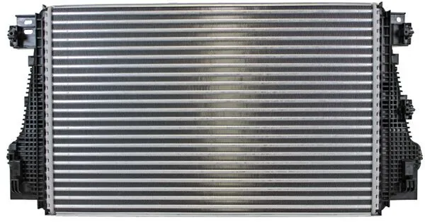 CI29000P Mahle Original