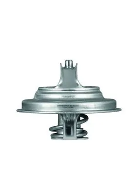 TX5483D Mahle Original Termostat