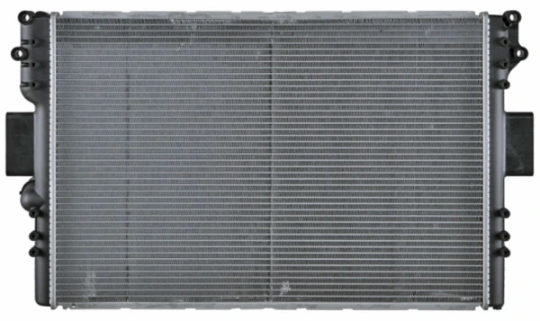 CR1106000P Mahle Original