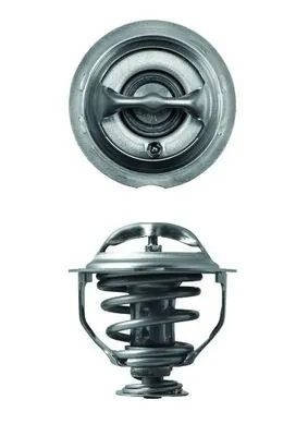 TX11795D Mahle Original